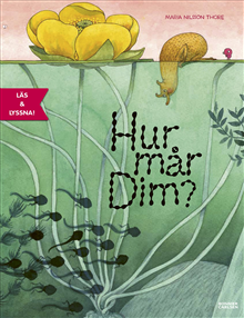 Hur mår Dim?