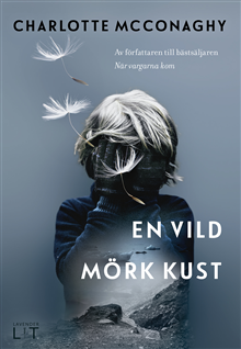 En vild mörk kust